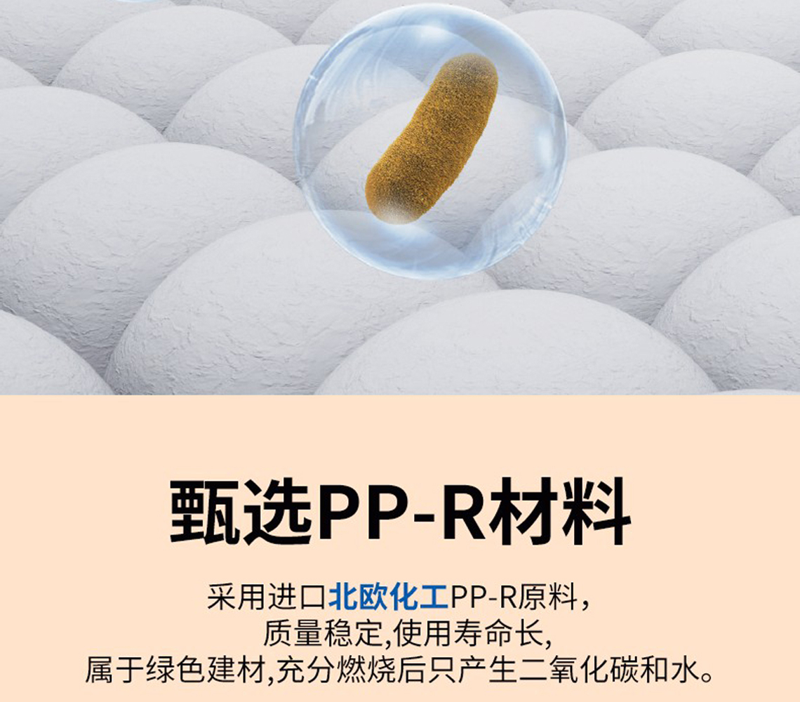 龍勝安康系列PPR水管