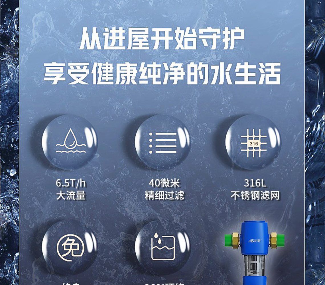 龍勝前置過(guò)濾器LS-QZ-10